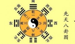 八卦语音文字爆料大全最新,最新热点事件深度解析